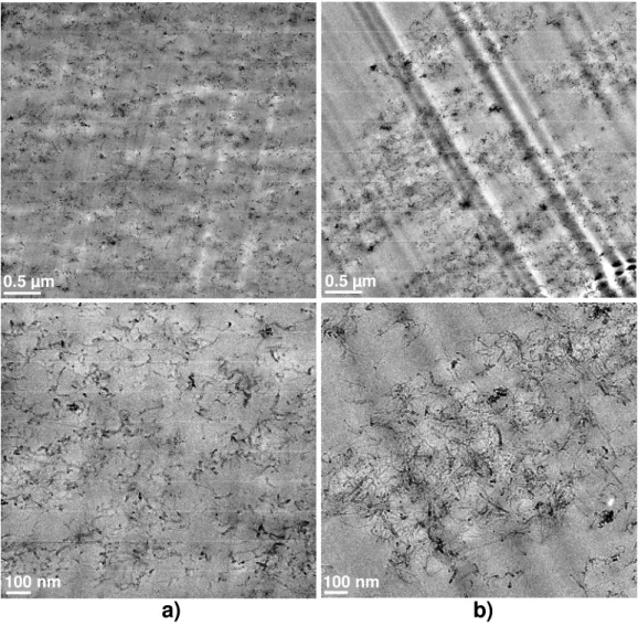Figure 5.3:  TEM micrographs of PC / 5wt% MWCNT nanocomposites prepared at (a) 210  o C 