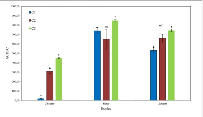 Figure 07 : L’effet des huiles essentielles  in vivo sur le flétrissement vasculaires du pois 