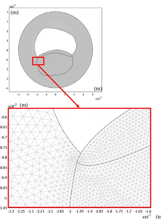 Figure 3-3 : Maillage utilisé pour l’analyse de la dynamique artérielle non linéaire. 