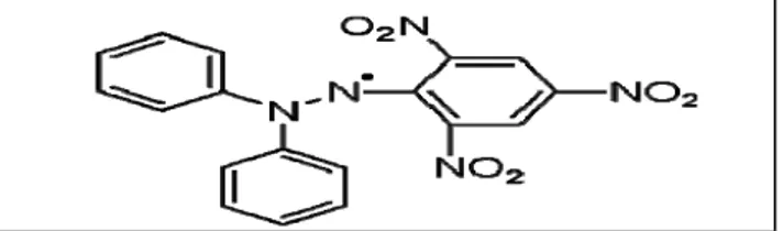 Figure 04. Structure : chimique du radical libre DPPH• (2,2 DiPhenyle-1-Picryl-Hydrazyle  (Marc et al., 2004) 