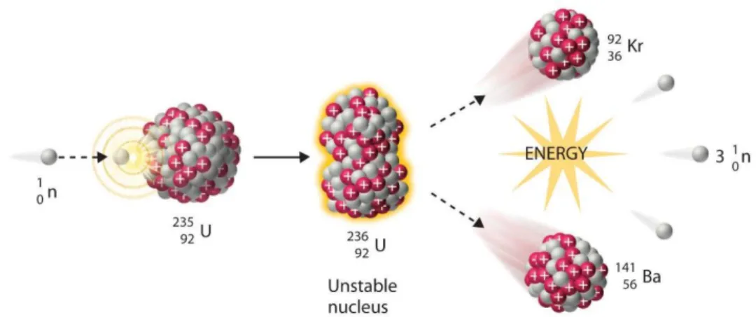 Figure 2-5 shows fission process of  235 U. 