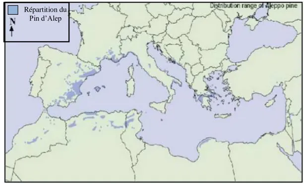 Figure 5 : Aire de répartition du Pin d’Alep en région méditerranéenne  (Fady et al., 2003)