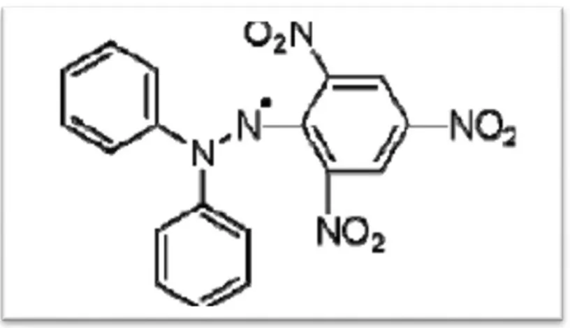 Figure 03. Structure chimique du radical libre DPPH’ (2,2 DiPhenyle-1-Picryl-