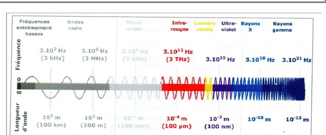 Figure 3 : la gamme du spectre électromagnétique couvre différentes fréquences comprenant  la lumière visible
