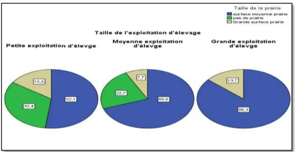 Figure 14 : Relation entre la taille des exploitations d’élevage  et la taille de la prairie