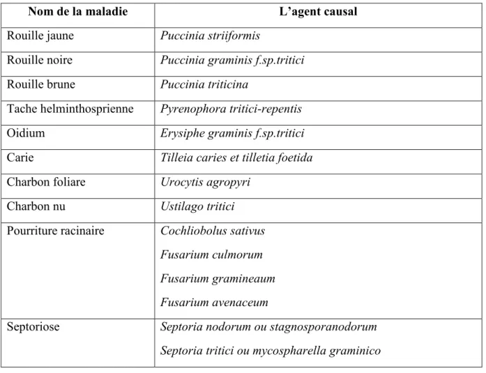 Tableau 03 : Maladies fongiques du blé (Sayoud et al., 1999). 