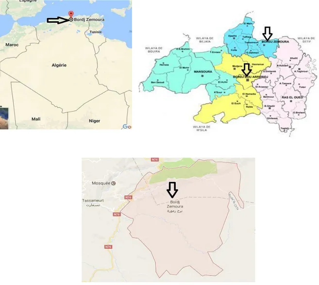 fig. 03 : Carte topographique montre la commune d’étude Bordj Zemoura (www.google earth.com)  