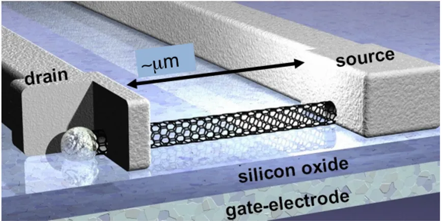 Figure 1.5 Schéma d’un transistor à base d’un nanotube de carbone individuel. Modifié de [36].