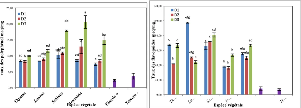 Figure 13 : Taux des polyphénols et des flavonoïdes des plantules traitées avec la poudre de  cinq plantes