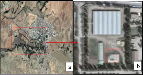 Figure 08: Localisation du site expérimentale : a. Pépinière El Hammadia, b. Site  expérimentale) (Google Map, 2017)