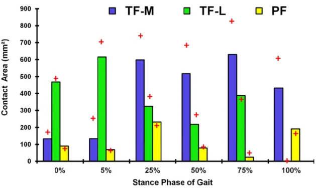 Figure 3- 3-phases.  ( cartilage  -6: Predicted(+) Results layers.  d total TF (Mfound in th M: Medial ane model wi nd L: Lateral th less-refin l) and PF co ned mesh an ontact areas and isotopic  at different srepresentati stance  on of 