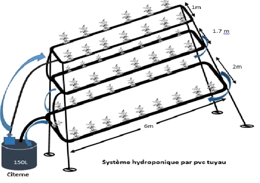 Figure  05 :  Schéma  explicative  d’un  système  « hydroponie  » (BNEDER ,2017)   