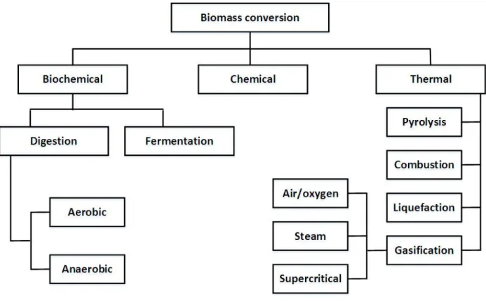 Figure 2.3 Methods of biomass conversion to fuel, gases and chemicals