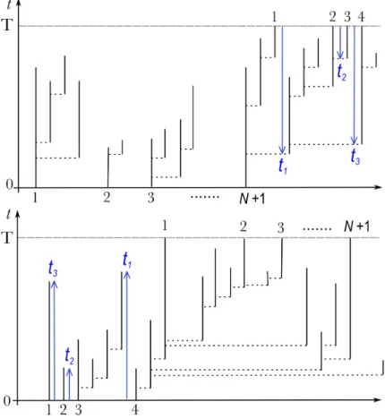 Figure 7 – Top: example of splitting forest stopped at first surviving tree, F ∗ with 4 surviving individuals (hosts) at T and respective coalescence times between them equal to