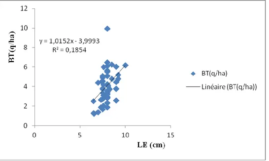 Figure -22- : Corrélation entre le rendement biologique et  la longueur de l'épi.   5-2- Rendement en paille :   