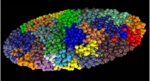 Figure  6:  Chromosome  territories  in  a  human  fibroblast. Computer simulation of the distribution of all 