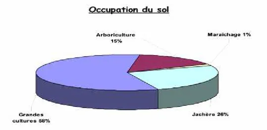 Figure 6 : Occupation de la SAU de la wilaya de BBA (DSA, 2014).