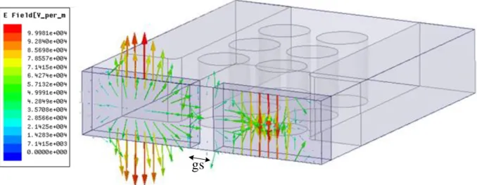 Figure  ‎ 2-3:  Current  distribution  of  the  E-field  of  the  LSM 10   mode  in  the  discrete-wall  iSINRD 
