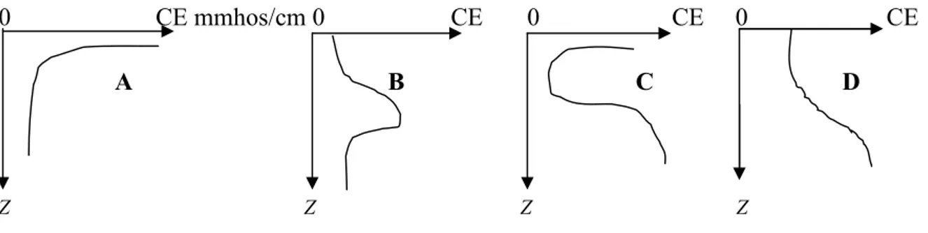 Figure 2 : Type de profils salins (SERVANT, 1976). 