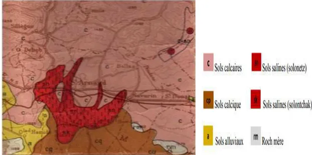 Figure 5 : Carte pédologique de la Sebkhet Bazer. Echelle 1/50 000 (ANONYME, 1974 in  GOUGA, 2014)