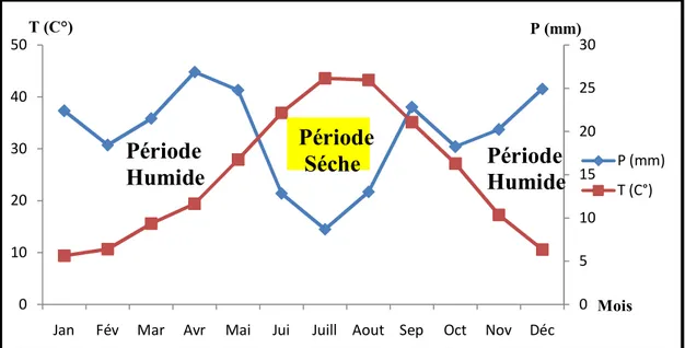 Figure 12 : Diagramme ombrothermique de Gaussen de la région Sétif 