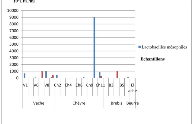 Figure 09: Variations des valeurs en UFC/ml, des lactobacilles et lactocoques mésophiles