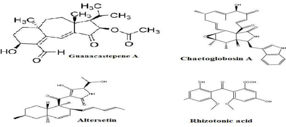 Figure  1.  Quelques  substances  antibactériennes  produites  par  les  champignons  endophytes 