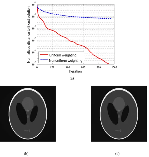 Figure 6.3 Regularization function performance: (a) L 2 distance to the exact solution, (b) uniform