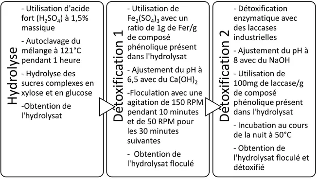 Figure 4-1 Processus de préparation du substrat issu du procédé Kraft 