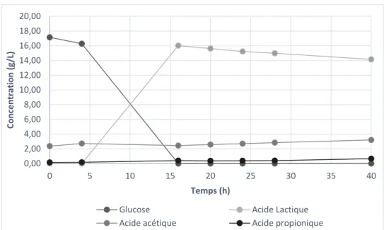 Figure 5-4 Courbe de production d’acide organique et de consommation de glucose avec L