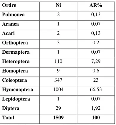 Tableau 5 – Effectifs et abondances relatives des ordres d’invertébrés ingérées par