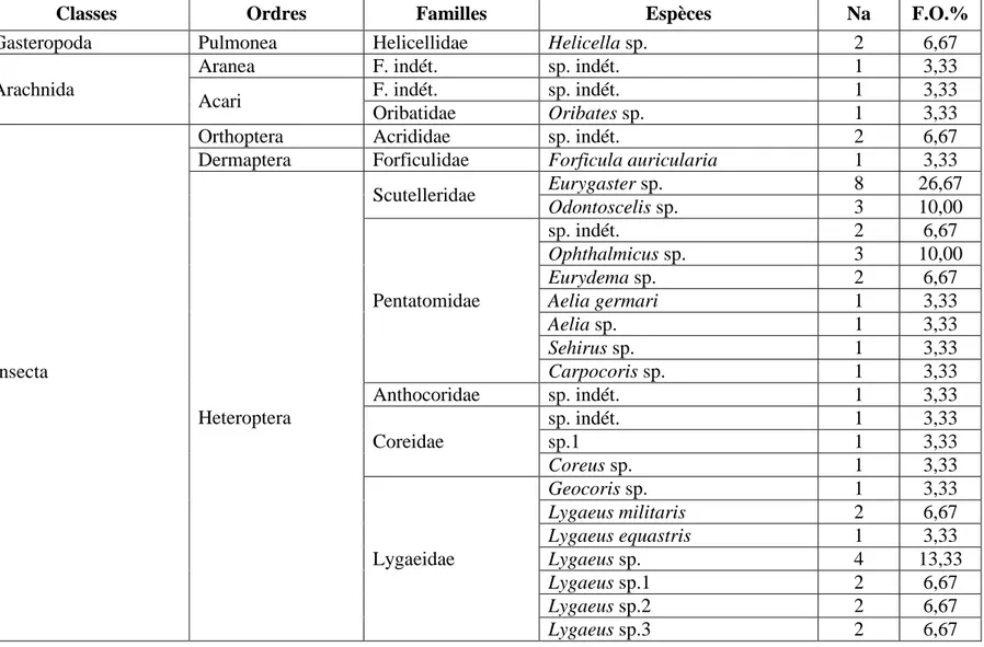 Tableau 7- Fréquences d’occurrence (F.O. %) des espèces-proies trouvés dans les fientes de Delichon urbica dans la station d’étude