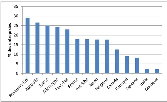 Figure  ‎ 2.2  :  Pourcentage  des  entreprises  ayant  un  site  web  commercial  (Adaptation  OCDE  2008)  05101520253035% des entreprsies