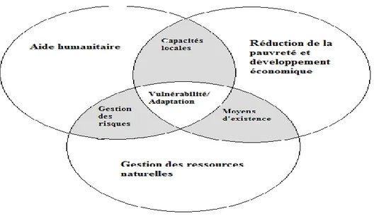 Figure 2.3 : Interface entre les axes stratégiques de la coopération pour le  développement 