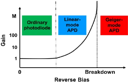 Figure 1.2: The APD gain in function of its reverse bias voltage  