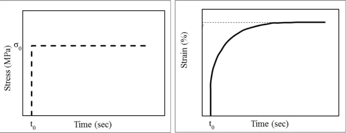 Figure 1-11 : Creep schematic. 