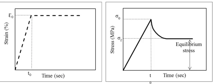 Figure 1-12 : Stress relaxation schematic.  1.3.1.2  Anisotropy 