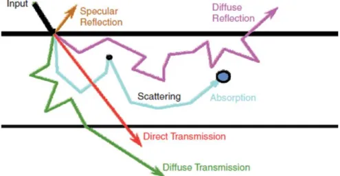 Figure 3-1 The probability of the photon migration in the biological tissue. 