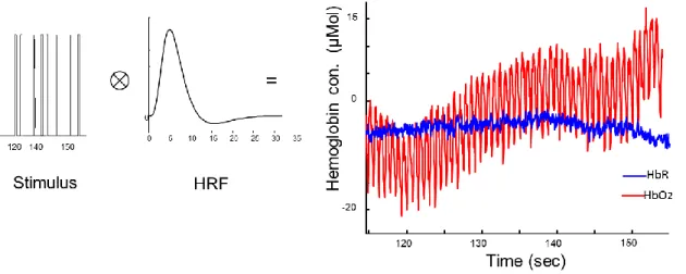 Figure  4-2  Predicted  data  to  the  convolution  of  HRF  by  a  random  SOA  stimuli  is  shown  by  measured HbR and HbO2 as hemodynamic response to stimuli
