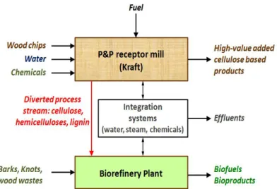 Figure 2-6 : Scheme of the integrated forest biorefinery [18] 