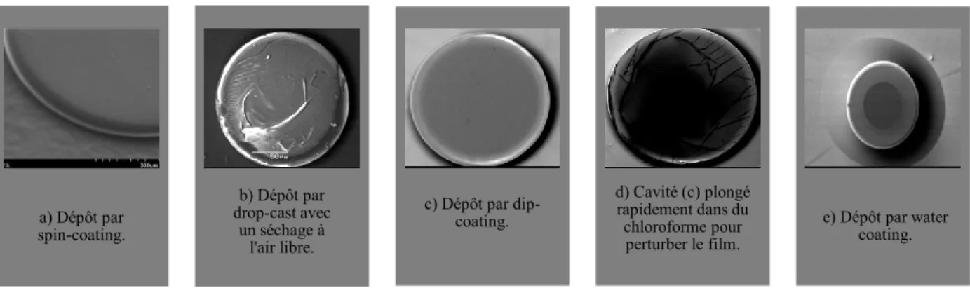 Figure  3.9  :  Cavités  recouvertes  d’un  film  de  F8BT  par  différentes  techniques  de  dépôt