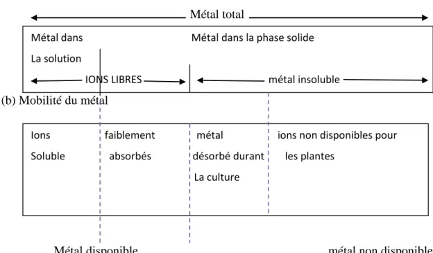 Figure 4: Schéma illustrant la mobilité des métaux lourds  (SHALLARI, 1997)  3.2.3.3.1