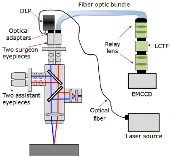 Figure 3-4: Functionality 1: Imaging system design for 3D surface reconstruction of the brain by  connecting a DLP and a fiber optic bundle to the stereovision port of the neurosurgical  microscope