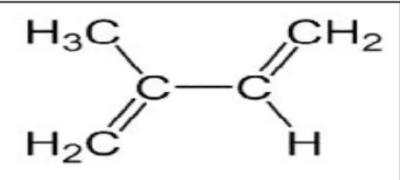 Figure 1 : Structure de l’isoprène (Lakhdar L, 2015) 