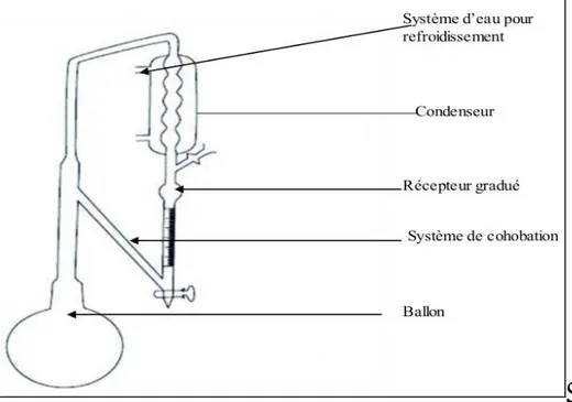 Figure 4 : Montage pour l’hydro distillation type Clevenger. (Lakhdar L, 2015) 