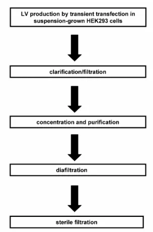 Figure 1.2 : Flowchart of a scalable process for LV mass production.  