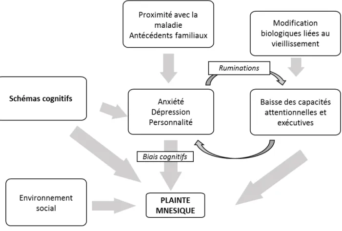 Figure 8. Résumé des déterminants de la plainte subjective de mémoire 