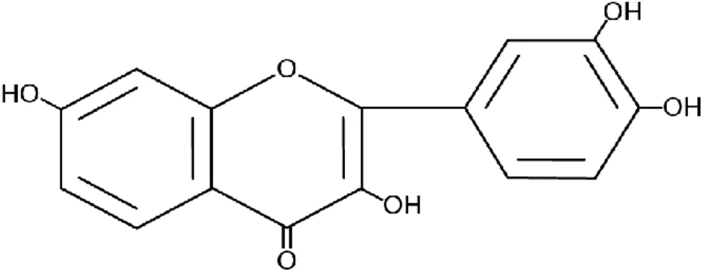 Figure 6. Structure de base des flavonoïdes (Di Carlo et al., 1999). 