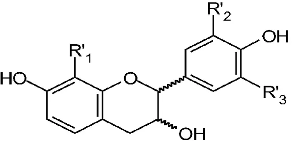 Figure 7. Structure chimique des tanins (Guigniard, 1996). 