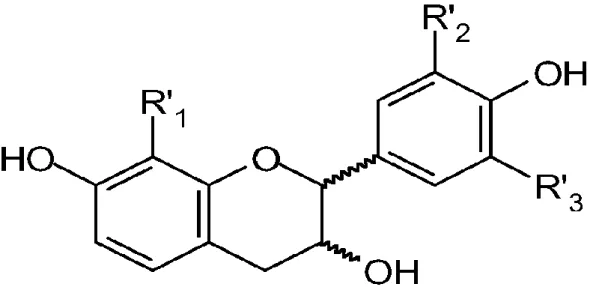 Figure 7. Structure chimique des tanins (Guigniard, 1996). 